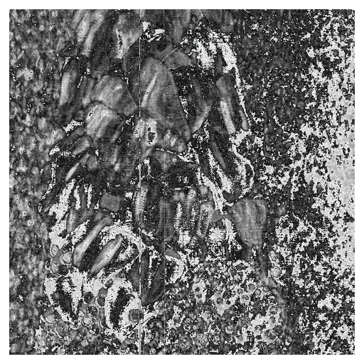 Viewfinder #852