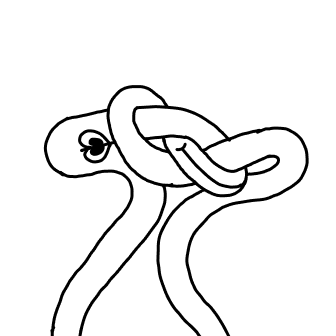 Knot 555