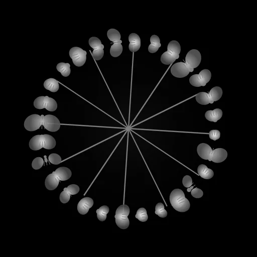Fly-Wheel