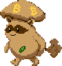 Raccoon Cap