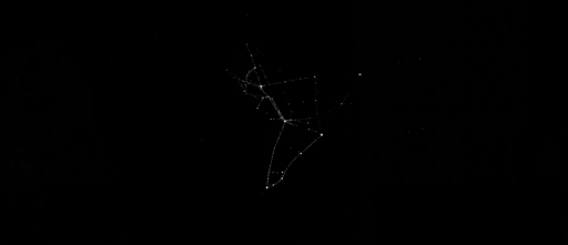 Maybe Orion