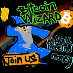 Bitcoin Wizard #336