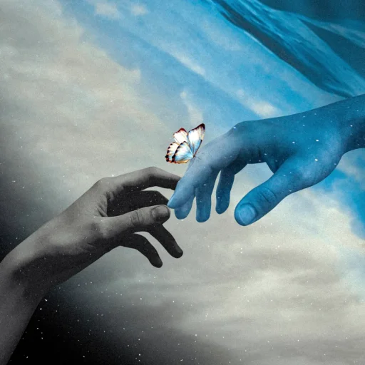 Touch of You