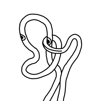 Knot 484