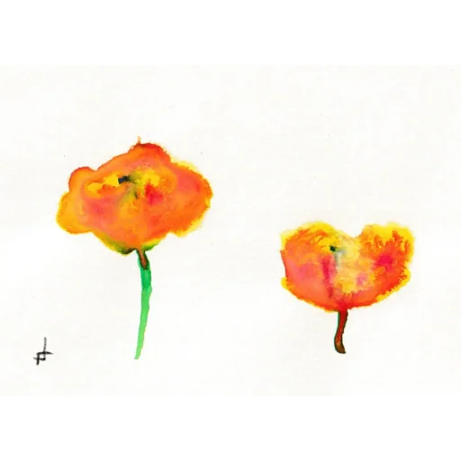 marigold editions #3