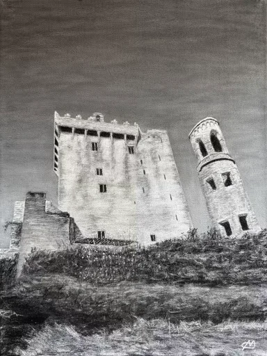 Forgotten Castle