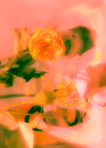Anamnesis by Zoe Louise