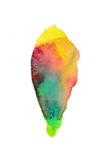 Rainbow Rose