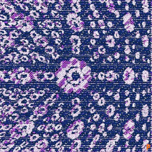 Parser of Imagination