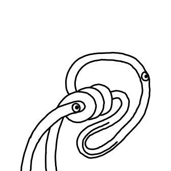 Knot 60