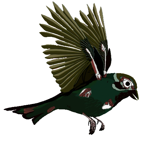 zombie sparrow