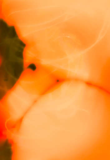 Heat Haze by Zoe Louise