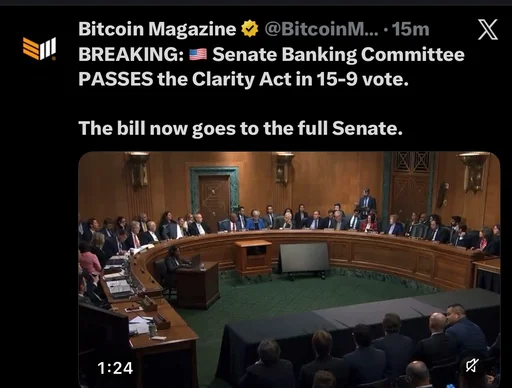 #126419263