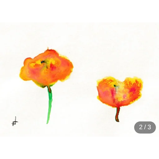 marigold editions #2
