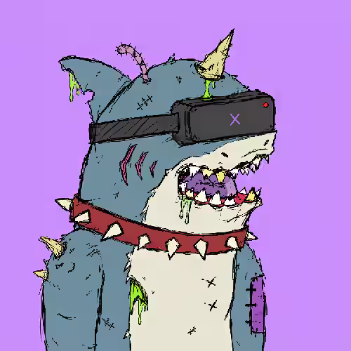 Anomaly #241 · Bull Shark