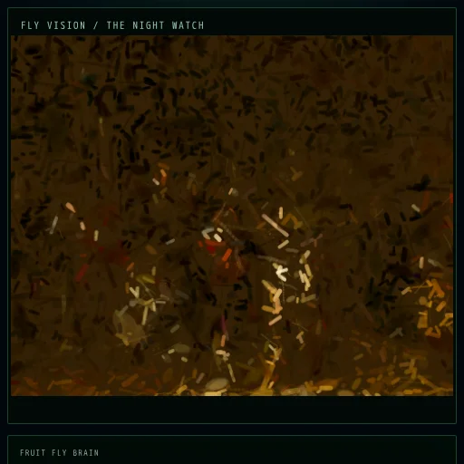 THE NIGHT WATCH