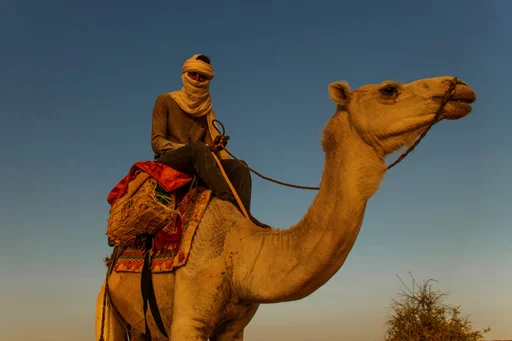 Nomad Explorer
