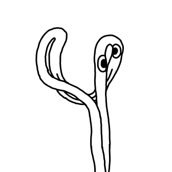 Knot 781