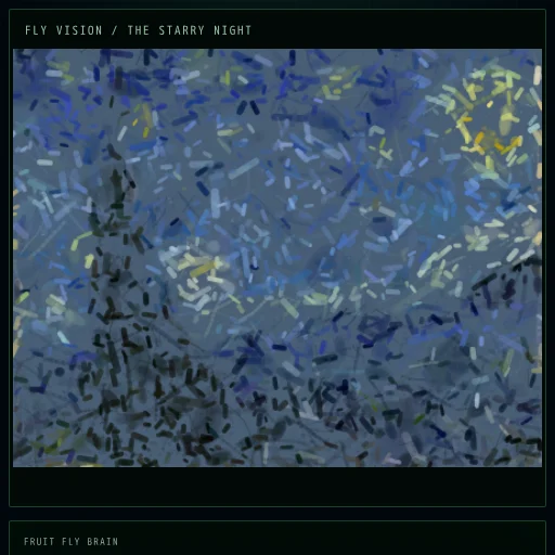 THE STARRY NIGHT