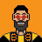 Bitcoin Maxi Punk