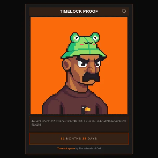 #126354579