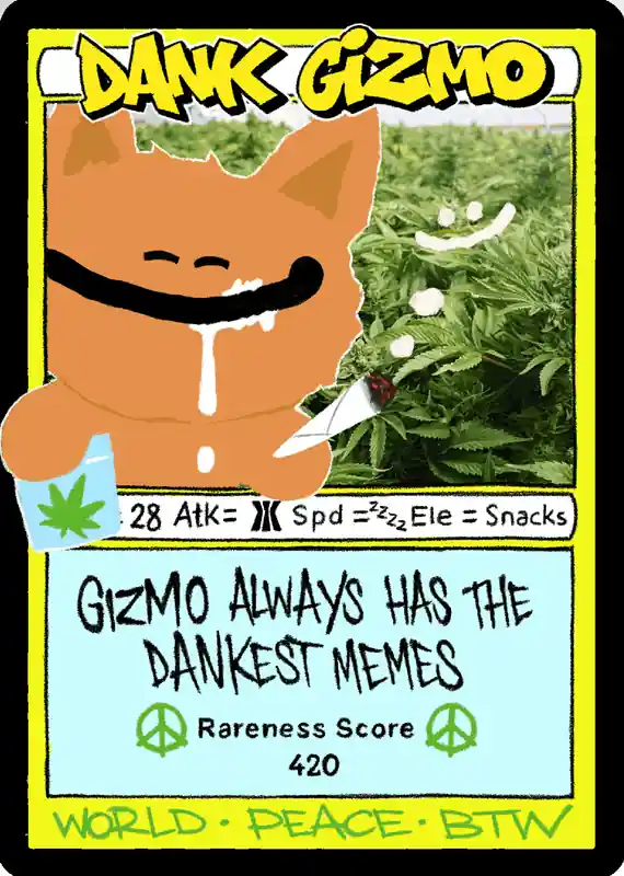 #80676364