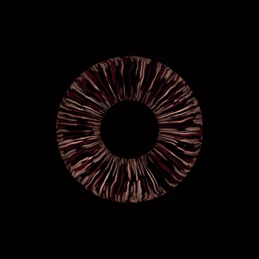 Behold by Steven Miller x Metablend Studio #297