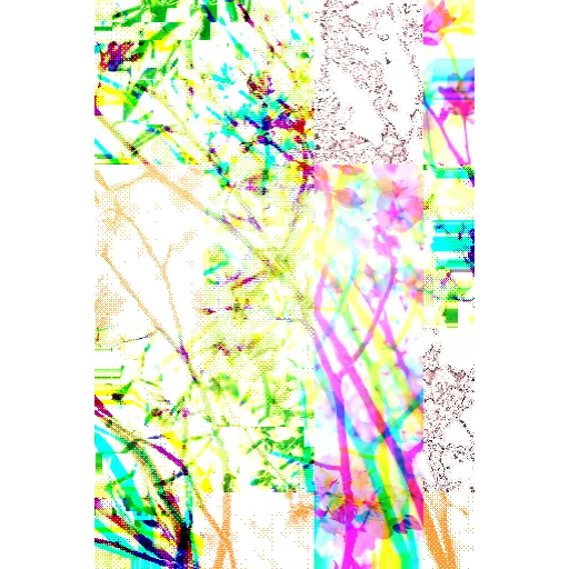 Blooming
