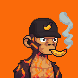 Ape #80