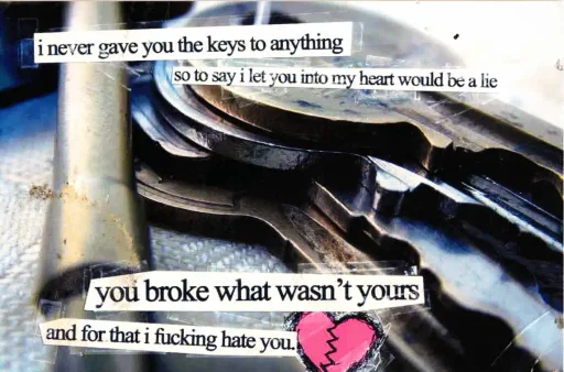 Recycled Youth