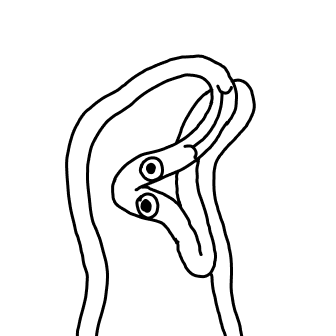 Knot 536