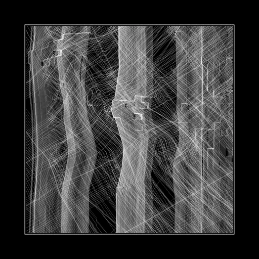 ENTROPY