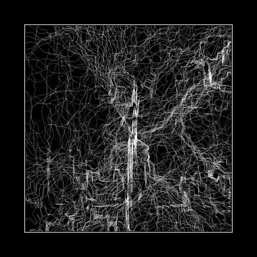 ENTROPY