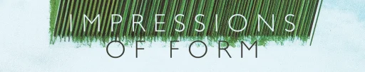 Impressions of Form by Costo Bravo
