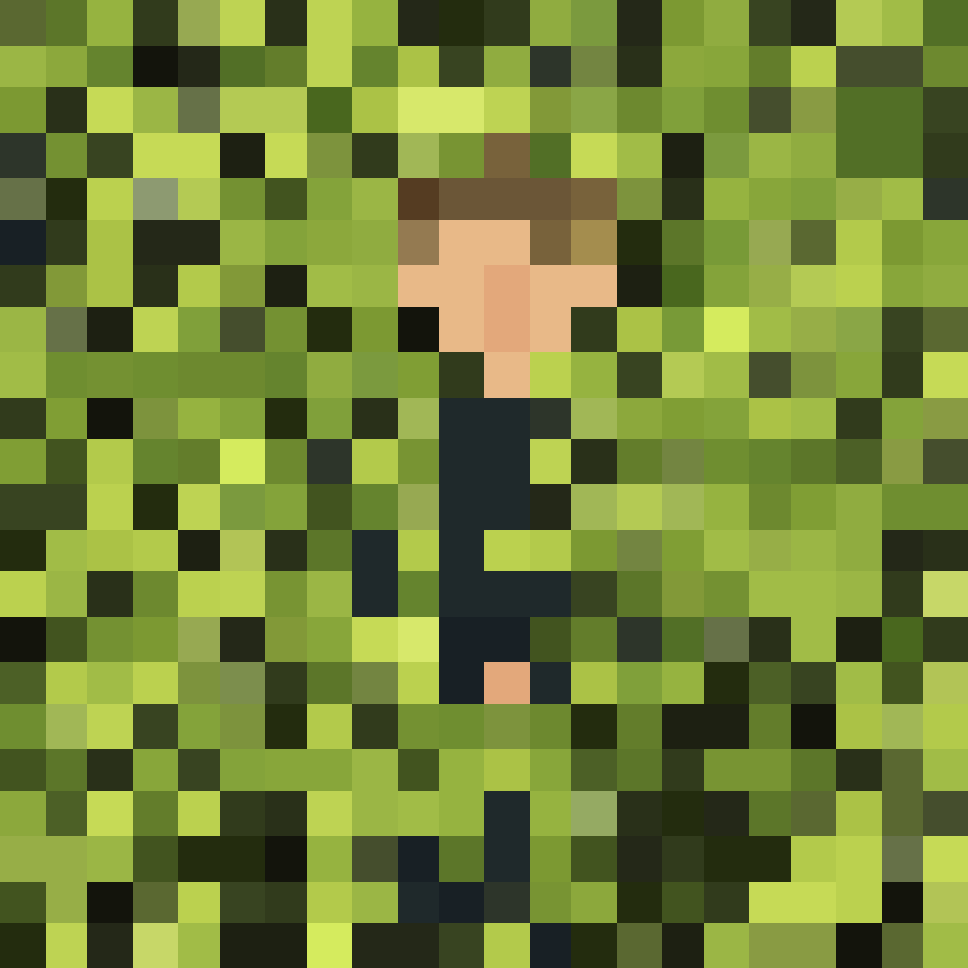 Photosynthesis 320