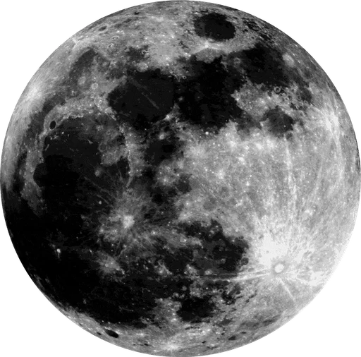 #104508031