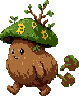 Elderwood