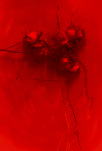 Merciless Red by Zoe Louise
