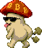 Coconut Cap