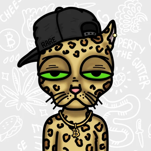 Ordinal Cat Gang #9