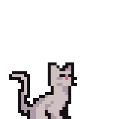 Pet #21