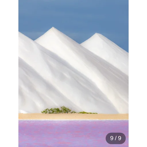#119728651