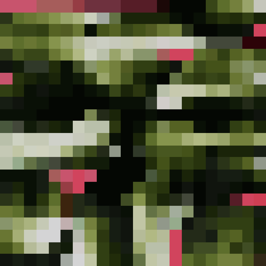 Photosynthesis 040