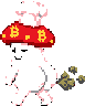 Chef Cap