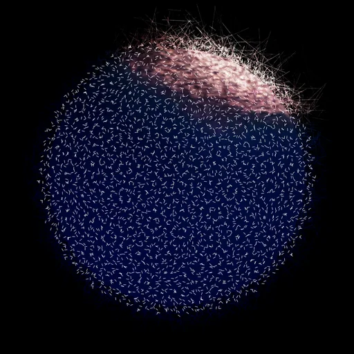 Lumiforms 113