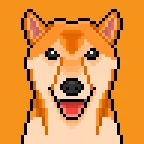 Doge Punk