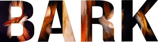 Bark by Andrew Hooker