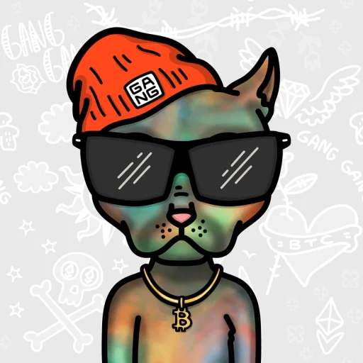 Ordinal Cat Gang #8