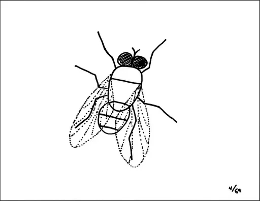 4. [fly]