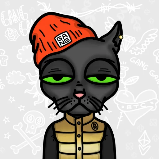 Ordinal Cat Gang #2